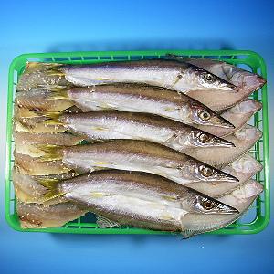 きときと朝市とくとくセット一番