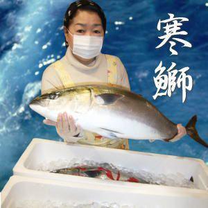 【送料無料】能登半島　豊漁のお陰で最安値に挑戦中！天然寒ぶり短冊4番（880g前後・11〜12人前）...