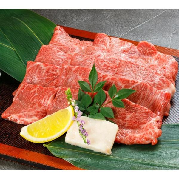 被災地特産品 てらおか風舎 能登牛 A5 プレミアム 極上 特選 焼肉 300g 牛肉 ギフト 内祝...