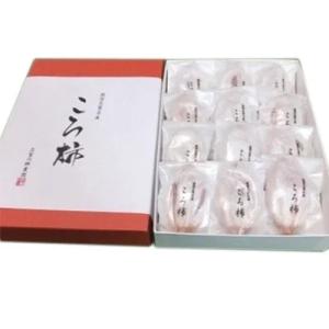 （予約販売・12月中旬入荷）志賀の郷農園ころ柿 2L 8個入り