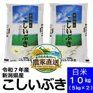 令和7年産 五ツ星お米マイスター厳選 長野県 佐久市産 コシヒカリ 10kg