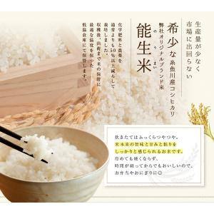 セール 安い 米 新潟県産 コシヒカリ 玄米 ...の詳細画像2