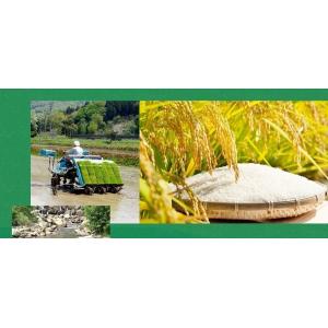 セール 安い 米 新潟県産 コシヒカリ 玄米 ...の詳細画像3