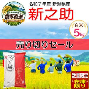 新之助 しんのすけ 令和7年産 新潟産 5kg 送料無料 : 新潟米 早川米穀