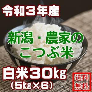 令和3年 30kg 5kg×6 白米 新潟県 お買い得 訳あり 小粒米 業務用 安い 送料無料 糸魚川 農家直送 中米 5キロ×6 30キロ