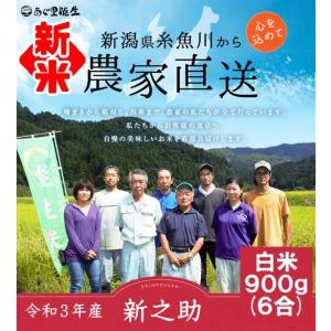 新米 令和3年 新之助 900g 白米 新潟 ポイント消化 お試し 農家直送 糸魚川 能生米 送料無料 メール便