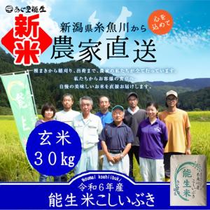 米 30kg ３０キロ こしいぶき 玄米 2等米 白米 精米無料 令和5年産 新潟 送料無料 糸魚川...