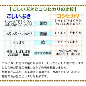 米 令和7年産 新潟県産 こしいぶき 玄米 3...の詳細画像2