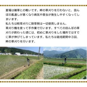 米 令和7年産 新潟県産 こしいぶき 玄米 3...の詳細画像5