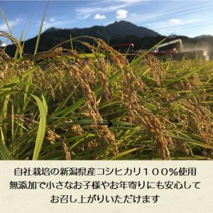 せんべい 生地 10枚入 せんべいの生地 BB...の詳細画像5