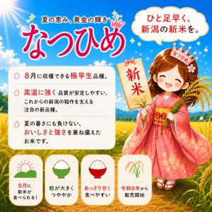 爆買 【先行予約・新発売記念価格】新米 令和8...の詳細画像1