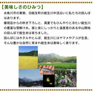 爆買 【先行予約・新発売記念価格】新米 令和8...の詳細画像2