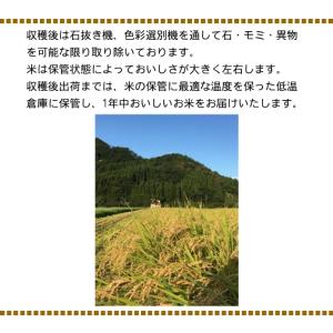 爆買 【先行予約・新発売記念価格】新米 令和8...の詳細画像5
