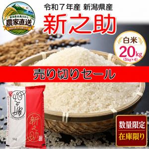 新之助（しんのすけ） 精米仕立て 五ツ星お米マイスター厳選1等米 令和