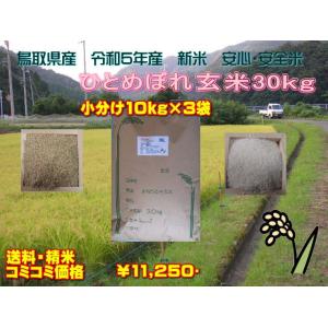 鳥取県令和5年産　新米ひとめぼれ　玄米30kg　小分１０kg×３袋　条件付き送料無料　精米無料