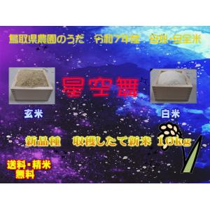 まぁ様　星空舞 玄米 20kg オリジナル米「星空舞」≪玄米≫｜産地直送 通販｜ふれあい村アスパル