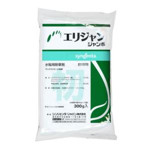 エリジャンジャンボ 300g