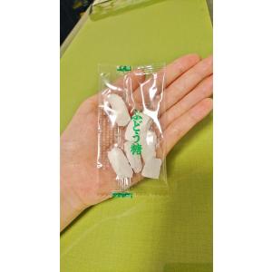 【公式】脳はぶどう糖チップ 5g×15袋入 【...の詳細画像2