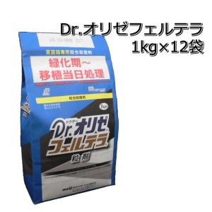 水稲育苗箱用殺虫殺菌剤 スタウトパディート箱粒剤 12kg