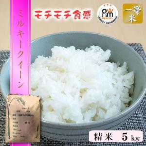 ミルキークイーン 米 10kg (5kg×2袋) 送料無料 令和7年産 栃木県 日光