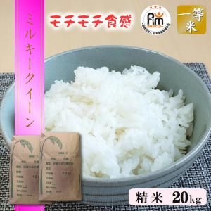 ミルキークイーン 米 10kg (5kg×2袋) 送料無料 令和7年産 栃木県 日光