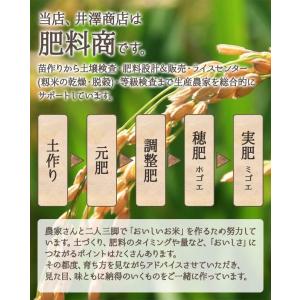 米 玄米 30kg ヒノヒカリ玄米/白米選択可...の詳細画像3