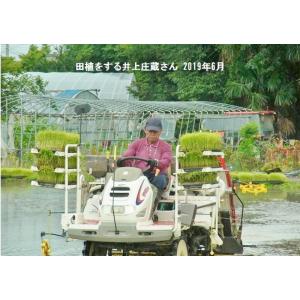 クーポンで5,376円!8/31まで 米 玄米...の詳細画像4