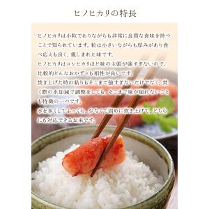 クーポンで5,376円!8/31まで 米 玄米...の詳細画像5