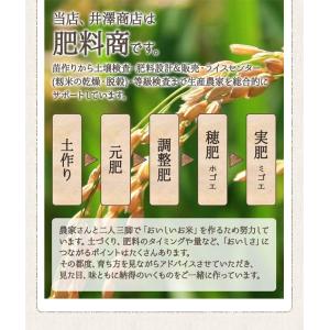 米 玄米 30kg きぬむすめ 厳選農家 玄米...の詳細画像3