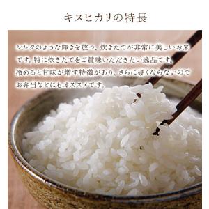 米 玄米 20kg 梅本良昭さん キヌヒカリ ...の詳細画像2