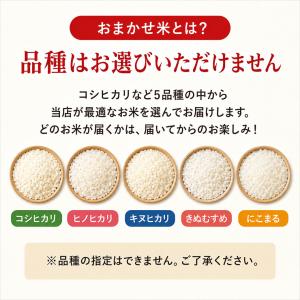 クーポン利用で半額!3,990円 令和7年産 ...の詳細画像2