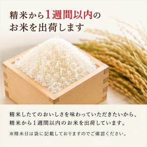 クーポン利用で半額!3,990円 令和7年産 ...の詳細画像3