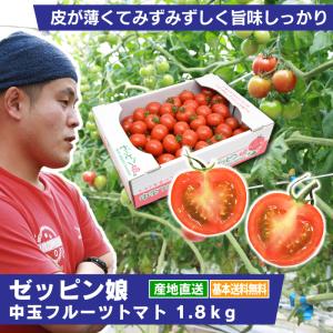 フルーツトマト ゼッピン娘 1.8kg 農家直送 中玉ミニトマト 産地直送 発送日限定 送料無料｜農家の台所 Yahoo!Shop