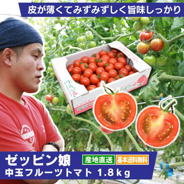 フルーツトマト ゼッピン娘 1.8kg 農家直送 中玉ミニトマト 産地直送 発送日限定 送料無料