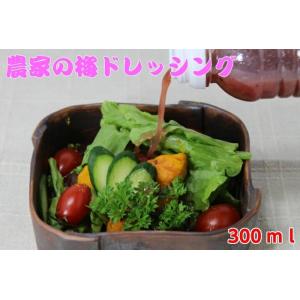 農家の梅ドレッシング 300ml 紀州 南高梅 ドレッシング 梅ドレッシング 梅ドレ 農家の梅 ノンオイル サラダ 中峰農園 和歌山 さっぱり 梅しそ 調味料 和歌山
