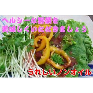 農家の梅ドレッシング 300ml 紀州 南高梅...の詳細画像2