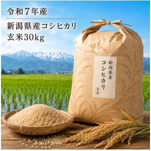 令和７年産　新潟県産コシヒカリ　玄米30ｋｇ　一等米　令和7年産/米/新米