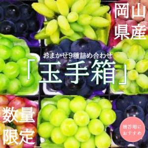 【贈答】岡山ぶどう　おまかせ９種詰合せ「玉手箱」
