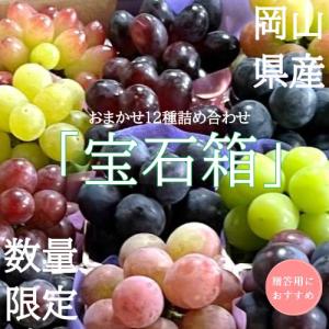 【贈答】岡山ぶどう　おまかせ12種詰合せ「宝石箱」