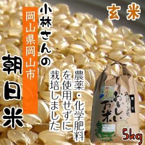 米 玄米 朝日米 30kg あさひ 晴れの国岡山 岡山を代表する米 しっかり 