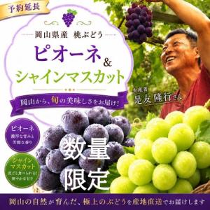 【贈答】岡山ぶどう人気２種食べ比べセット（露地栽培）
