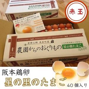 赤玉　阪本鶏卵　星の里たまご40個入り