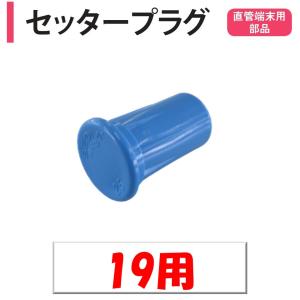 セッタープラグ 19mm用 渡辺パイプ 農業用 ...の商品画像