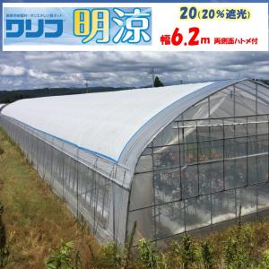 メーカー直送品 明涼20 遮光率20％ 6.2ｍ幅 白色 メイリョウ 希望長さ(m)を数量に入力 ハトメ付 遮光 遮熱 農業用 ビニールハウス用 トマト キュウリ ナス｜noupo