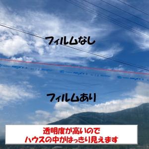 ベジタロンNEXT 0.1mm厚 230cm幅...の詳細画像1
