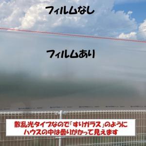 花野果Sun-X サンクロス 0.15mm厚 ...の詳細画像1