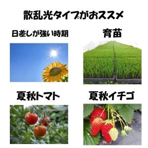 花野果Sun-X サンクロス 0.15mm厚 ...の詳細画像4