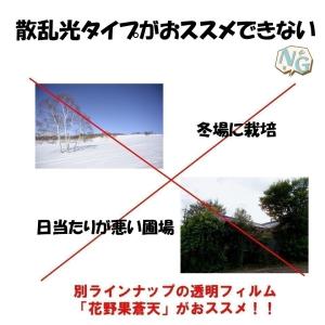 花野果Sun-X サンクロス 0.15mm厚 ...の詳細画像5