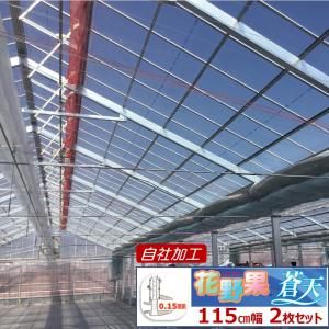 花野果蒼天 ソウテン 0.15mm厚 135cm幅 希望の長さ(m)を数量に入力