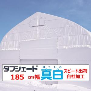 タフシェード真白 まっしろ 0.15mm厚 185cm幅 希望の長さ(ｍ)を数量で入力 POフィルム 白色 農業用 ビニールハウス用 住化積水 切り売り カット売り